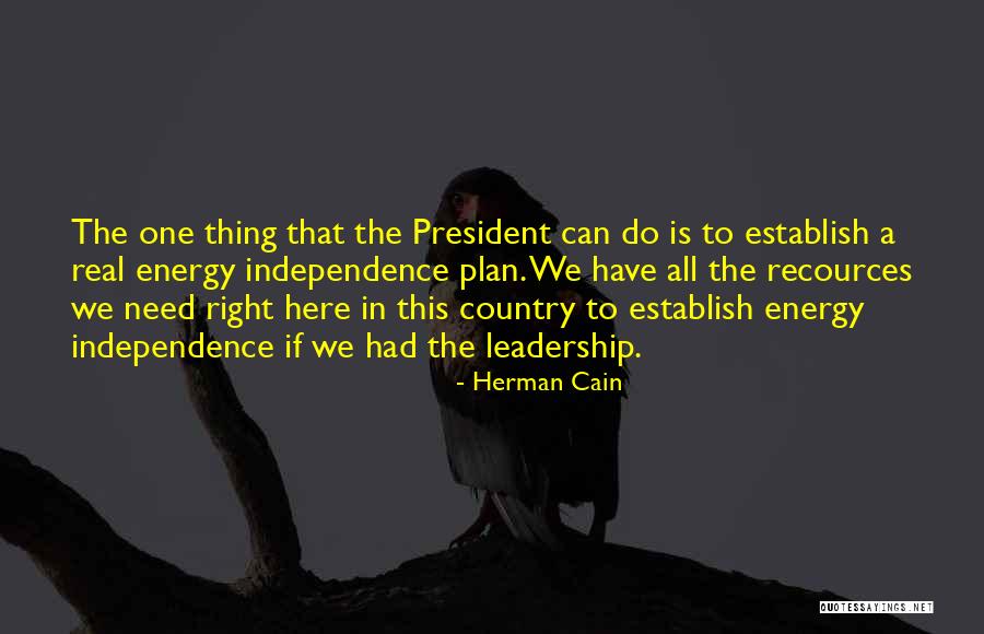 Herman Cain Quotes 987313