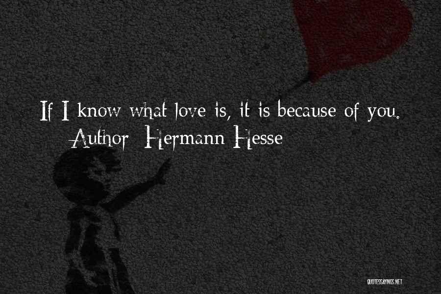 Hermann Hesse Love Quotes By Hermann Hesse