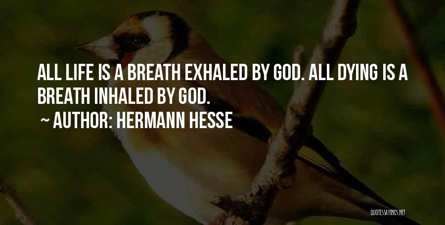 Hermann Hesse Quotes 1713292