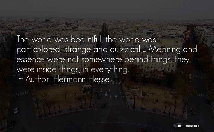 Hermann Hesse Quotes 1843492