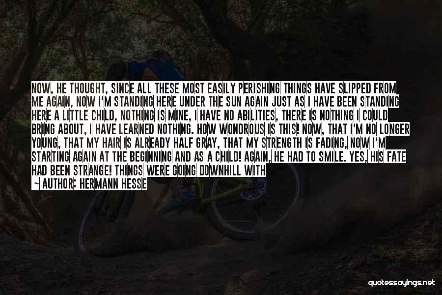 Hermann Hesse Quotes 275760