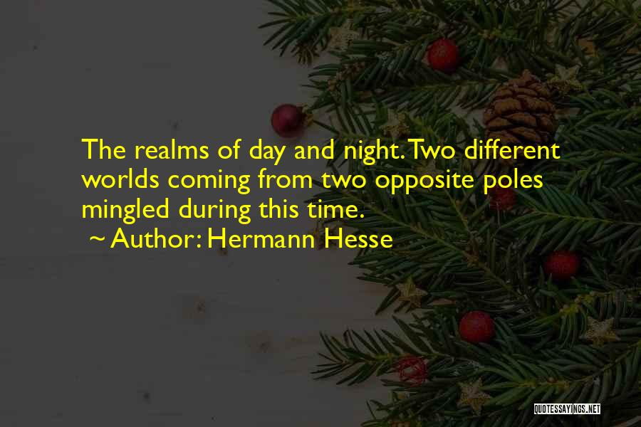 Hermann Hesse Quotes 332387