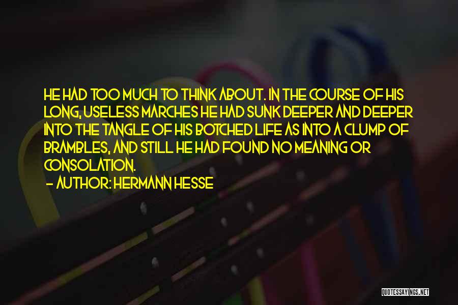 Hermann Hesse Quotes 782297