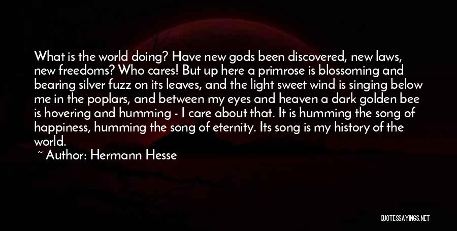 Hermann Hesse Quotes 847148