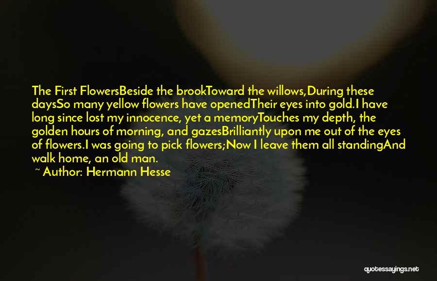 Hermann Quotes By Hermann Hesse