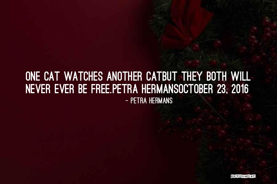 Hermans Quotes By Petra Hermans Hermans Quotes By Petra Hermans