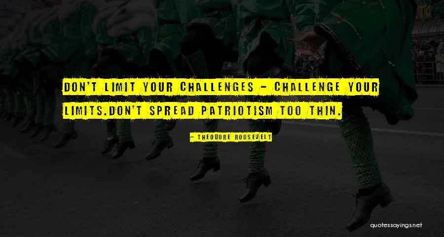 Hermanson Vs Vettori Quotes By Theodore Roosevelt Hermanson Vs Vettori Quotes By Theodore Roosevelt