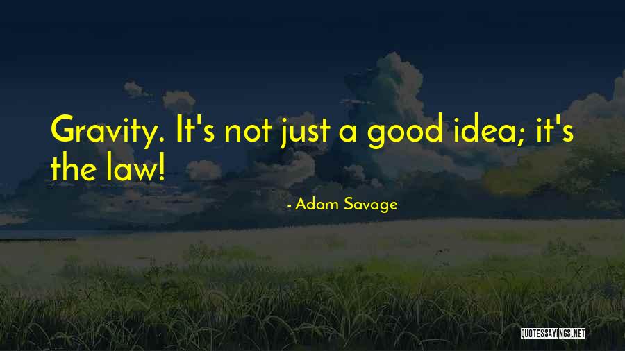 Hermeneutical Phenomenology Quotes By Adam Savage Hermeneutical Phenomenology Quotes By Adam Savage