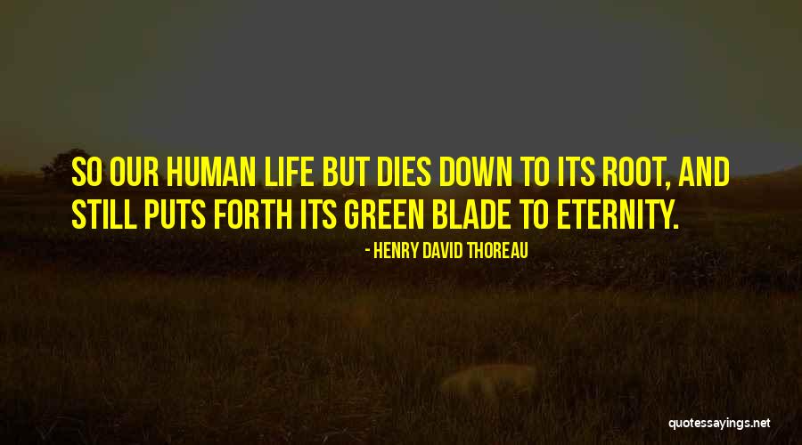 Hermessennce Quotes By Henry David Thoreau Hermessennce Quotes By Henry David Thoreau