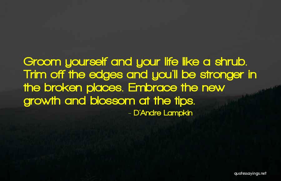 Hermilo Aguilar Quotes By D'Andre Lampkin Hermilo Aguilar Quotes By D'Andre Lampkin