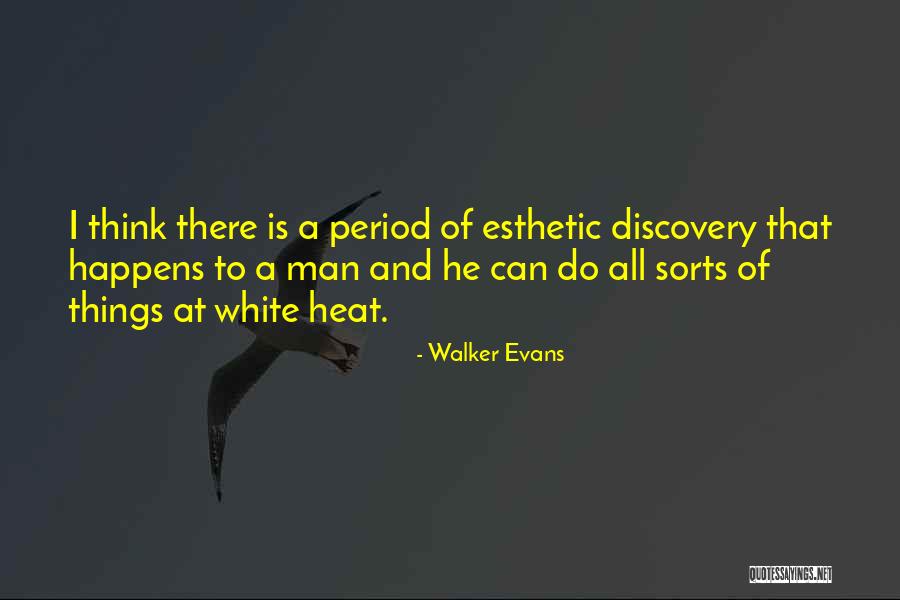 Hermilo Estrada Quotes By Walker Evans Hermilo Estrada Quotes By Walker Evans