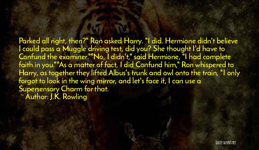 Hermione And Harry Quotes By J.K. Rowling