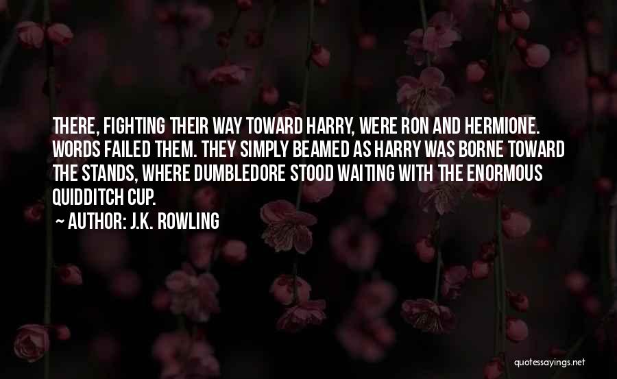 Hermione And Harry Quotes By J.K. Rowling