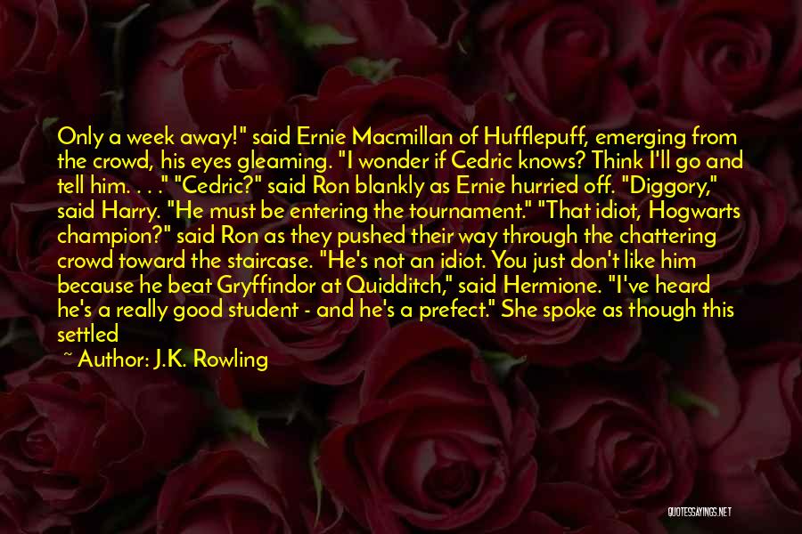 Hermione And Harry Quotes By J.K. Rowling