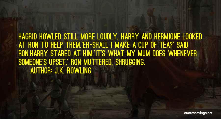 Hermione And Harry Quotes By J.K. Rowling