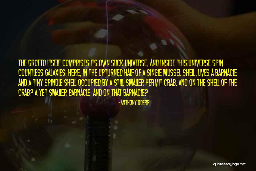 Hermit Crab Quotes By Anthony Doerr Hermit Crab Quotes By Anthony Doerr