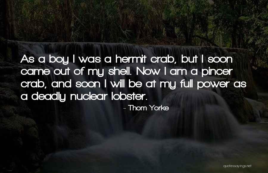Hermit Crab Quotes By Thom Yorke Hermit Crab Quotes By Thom Yorke