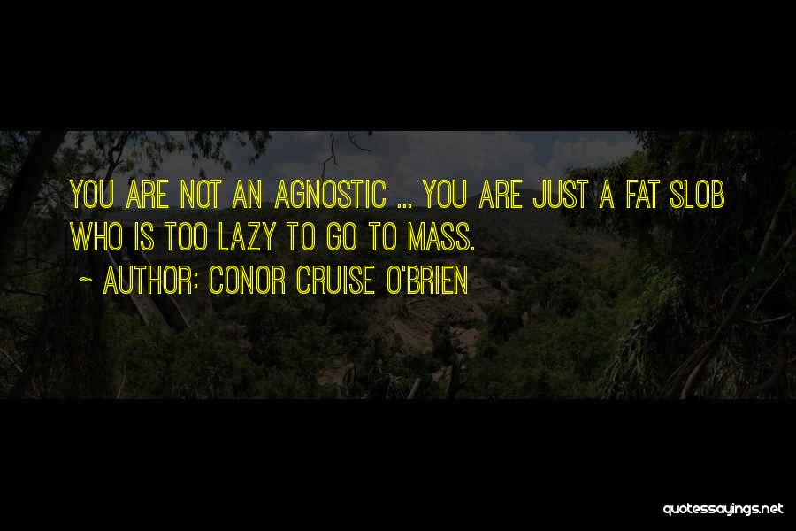 Hermosa Que Eres Quotes By Conor Cruise O'Brien