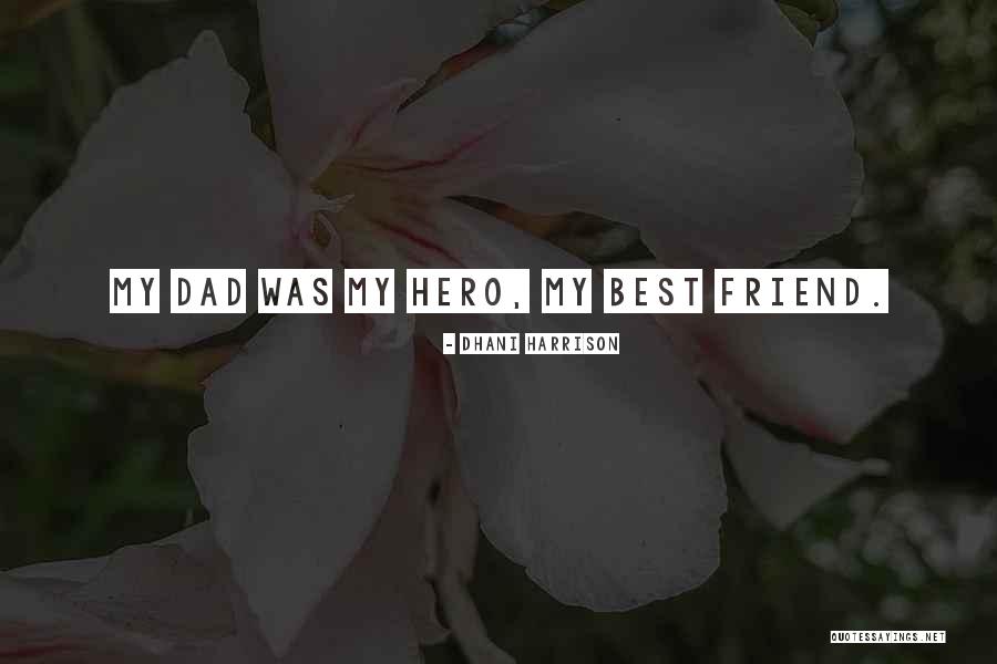 Hero Friend Quotes By Dhani Harrison Hero Friend Quotes By Dhani Harrison