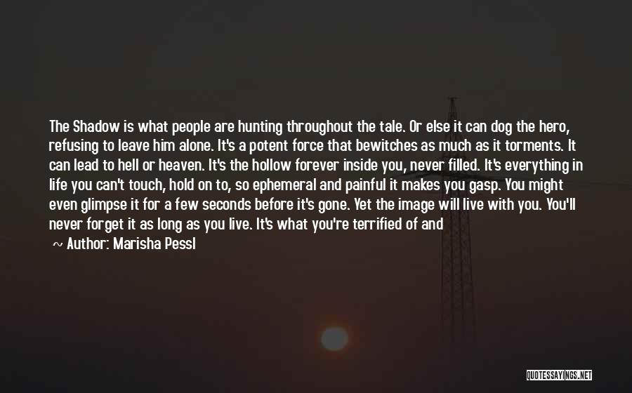 Hero Inside You Quotes By Marisha Pessl