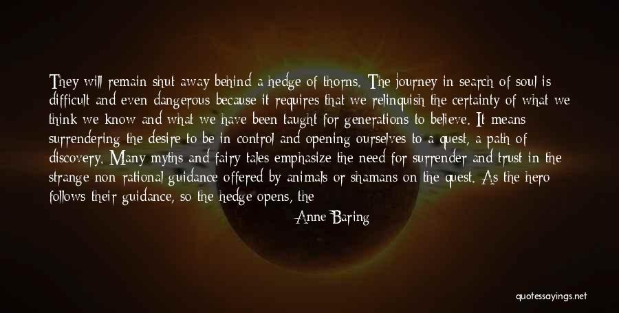 Hero Journey Quotes By Anne Baring