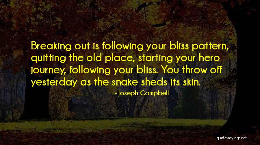Hero Journey Quotes By Joseph Campbell Hero Journey Quotes By Joseph Campbell