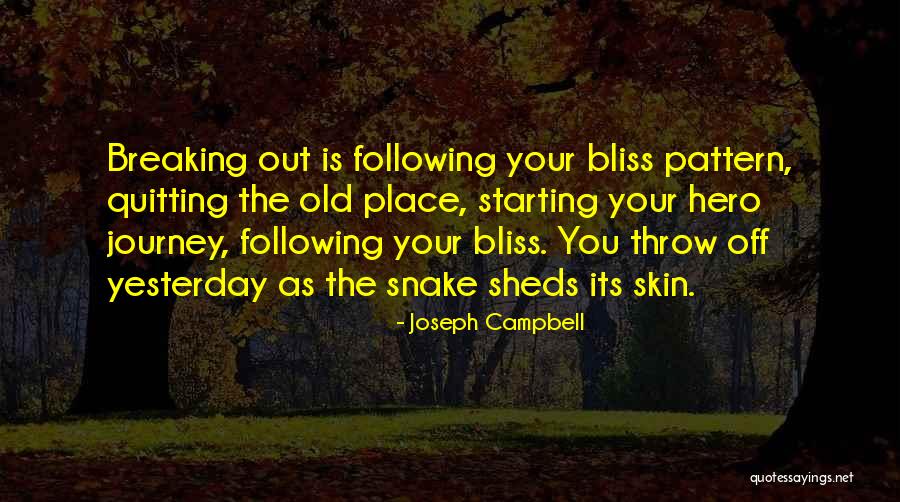 Hero Journey Quotes By Joseph Campbell