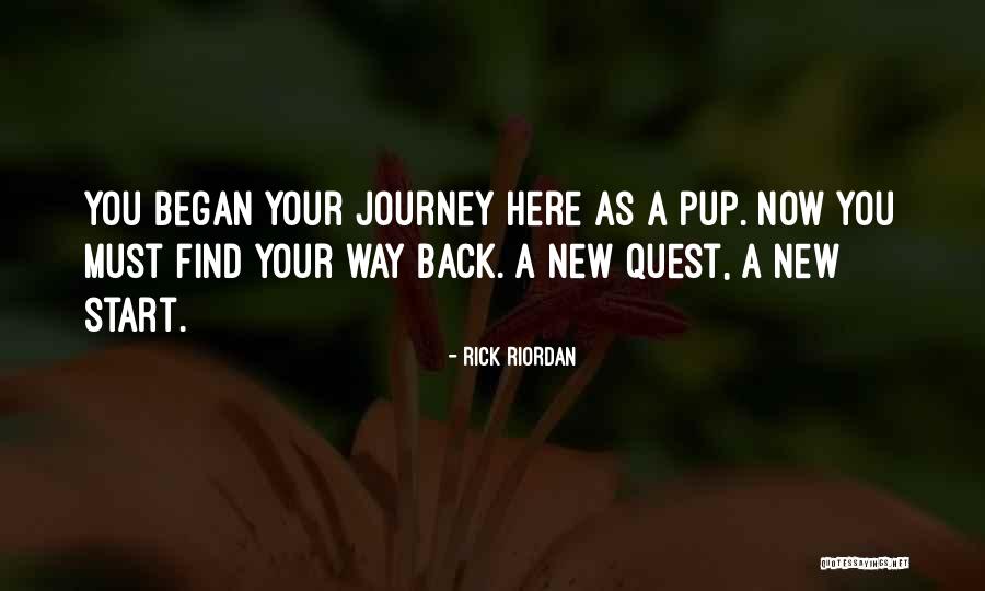 Hero Journey Quotes By Rick Riordan