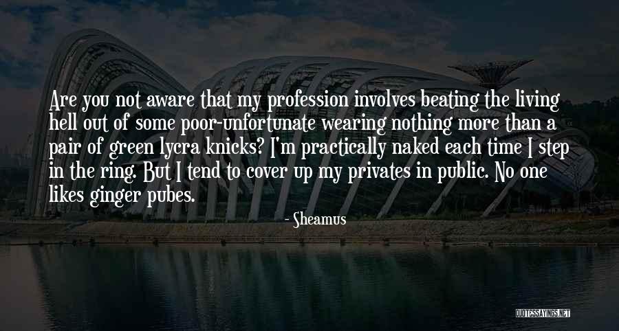 Hero Of Ages Quotes By Sheamus Hero Of Ages Quotes By Sheamus