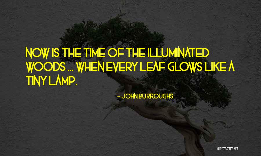 Hero Wantage Quotes By John Burroughs Hero Wantage Quotes By John Burroughs