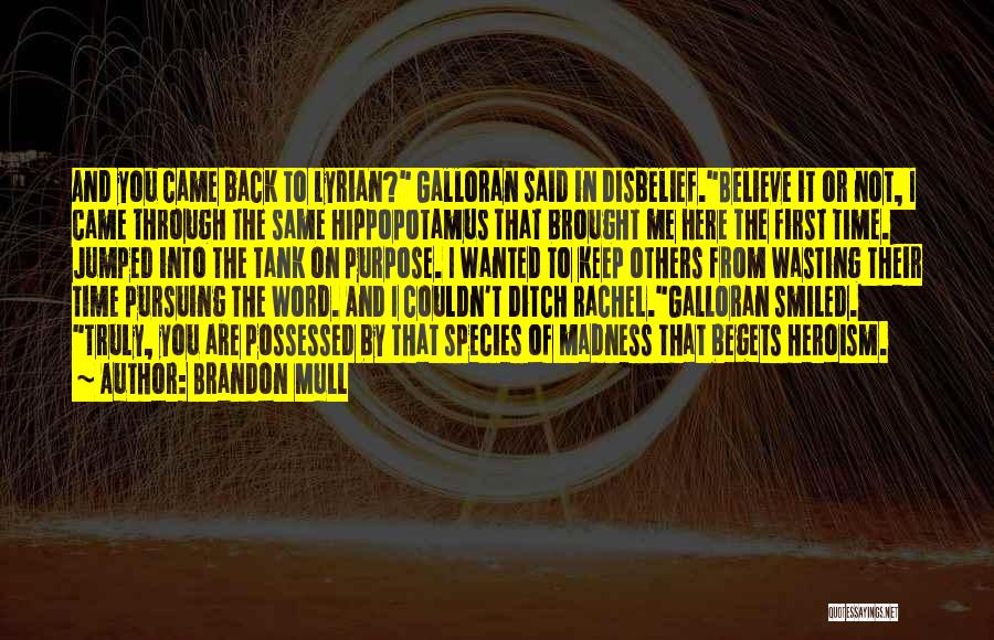 Heroes And Heroism Quotes By Brandon Mull