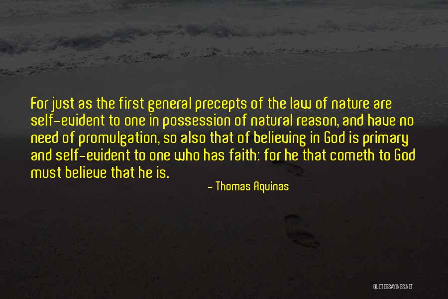 Heroismo Concepto Quotes By Thomas Aquinas Heroismo Concepto Quotes By Thomas Aquinas
