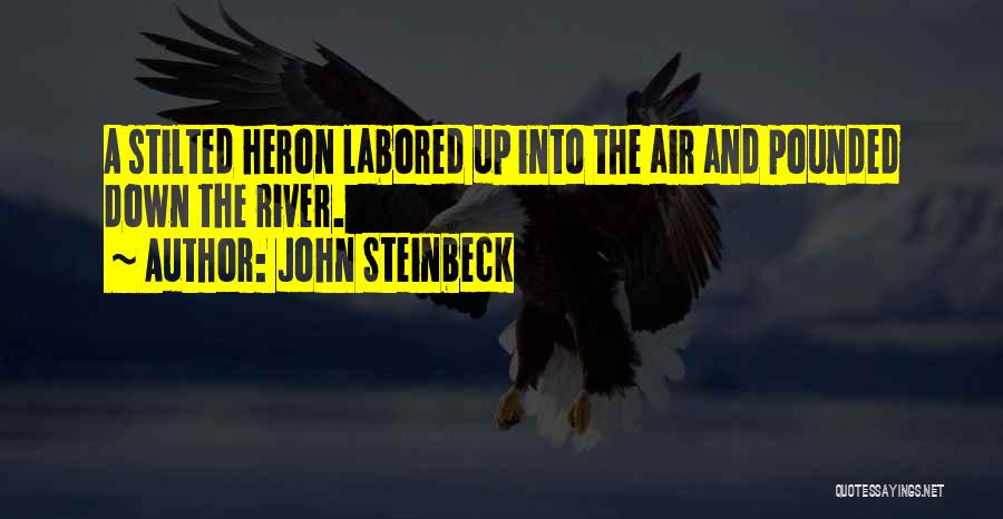 Heron Quotes By John Steinbeck