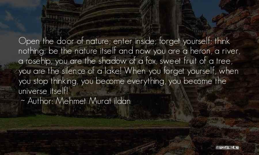 Heron Quotes By Mehmet Murat Ildan