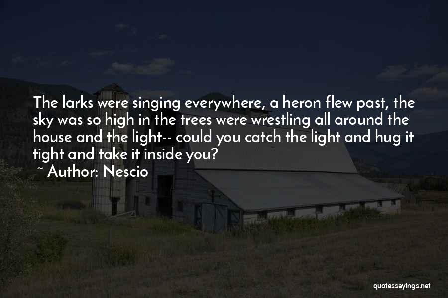 Heron Quotes By Nescio