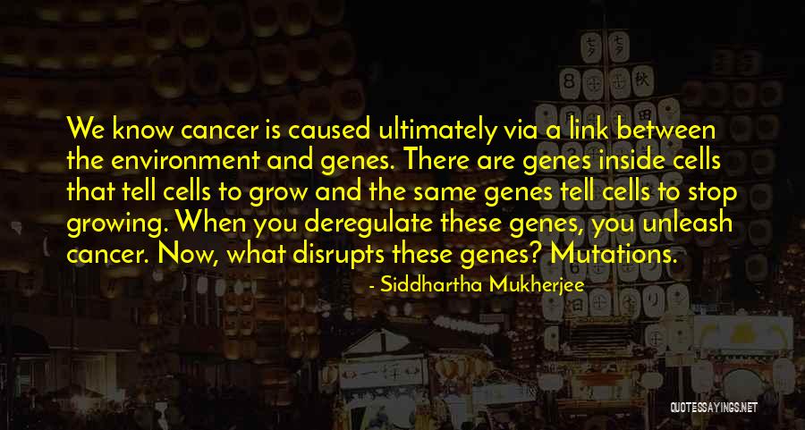 Heronation Quotes By Siddhartha Mukherjee Heronation Quotes By Siddhartha Mukherjee
