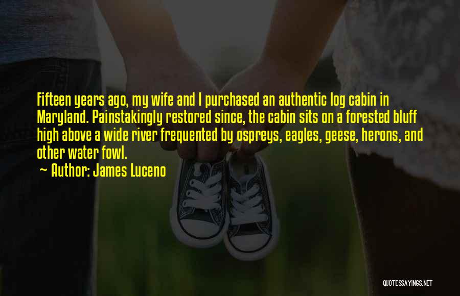 Herons Quotes By James Luceno