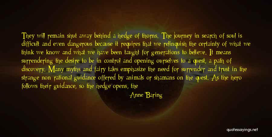 Hero's Journey Quotes By Anne Baring