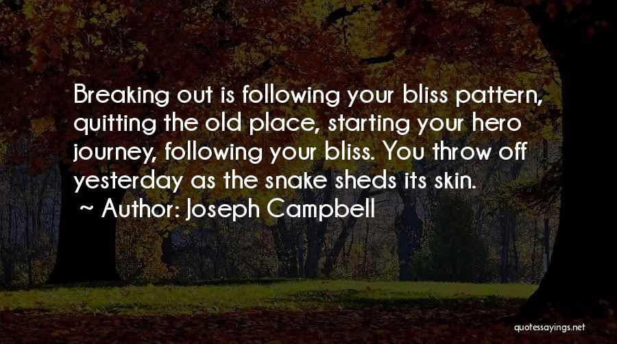 Hero's Journey Quotes By Joseph Campbell