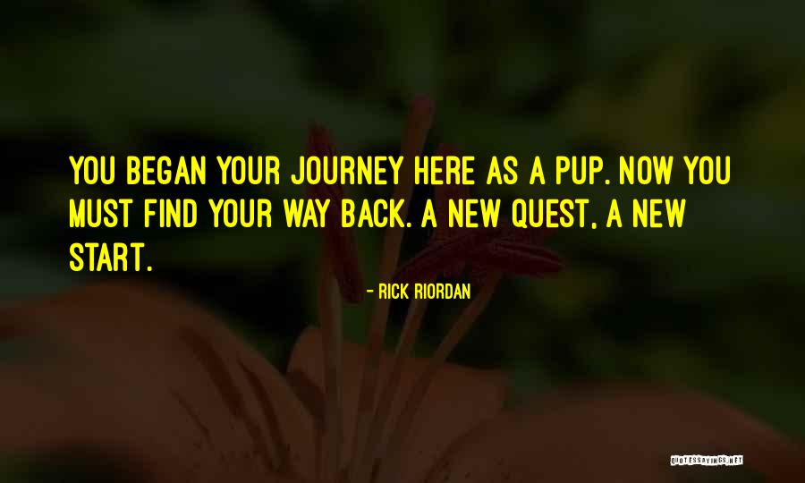 Hero's Journey Quotes By Rick Riordan