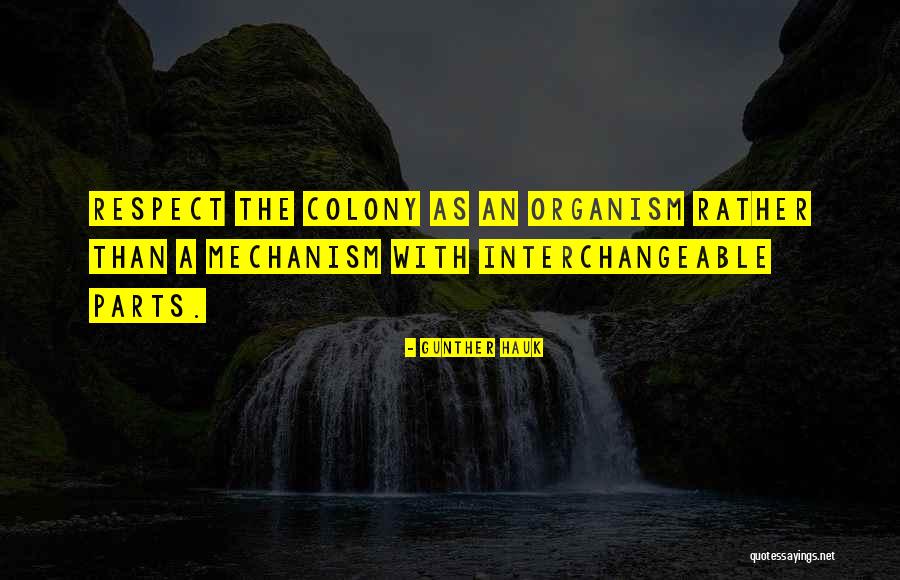 Herras Mexican Quotes By Gunther Hauk Herras Mexican Quotes By Gunther Hauk