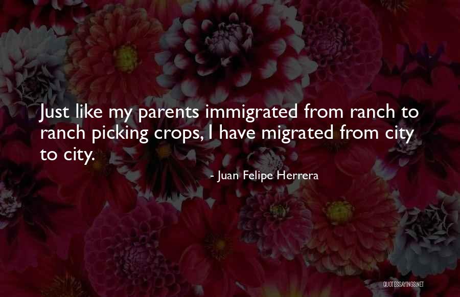 Herrera Quotes By Juan Felipe Herrera Herrera Quotes By Juan Felipe Herrera