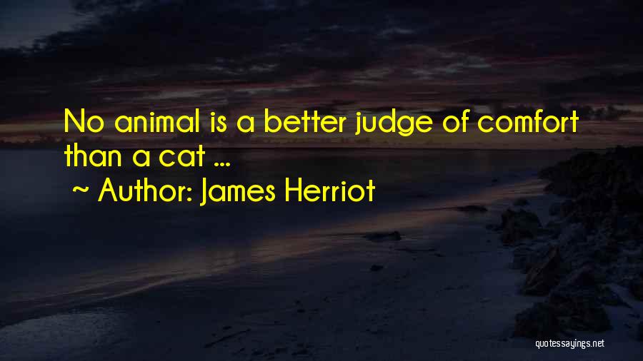 Herriot Quotes By James Herriot