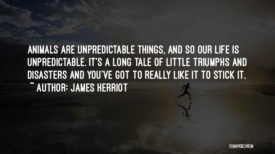 Herriot Quotes By James Herriot