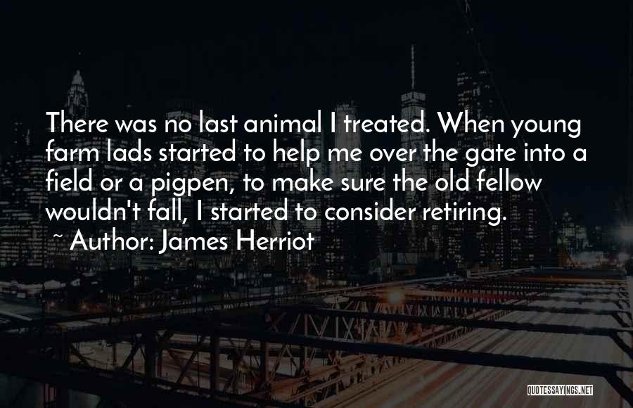 Herriot Quotes By James Herriot