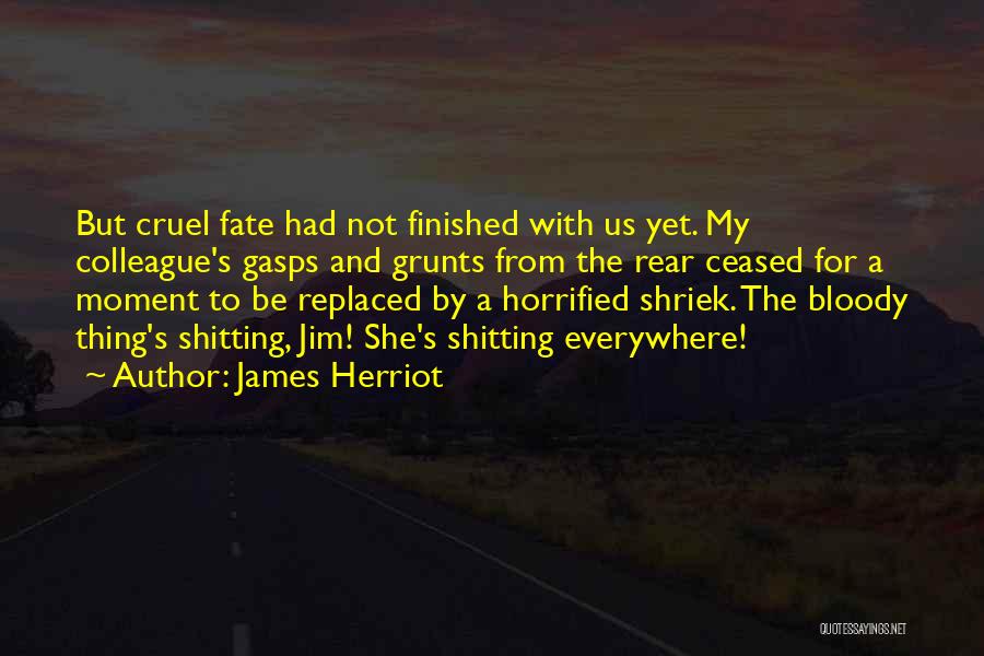 Herriot Quotes By James Herriot