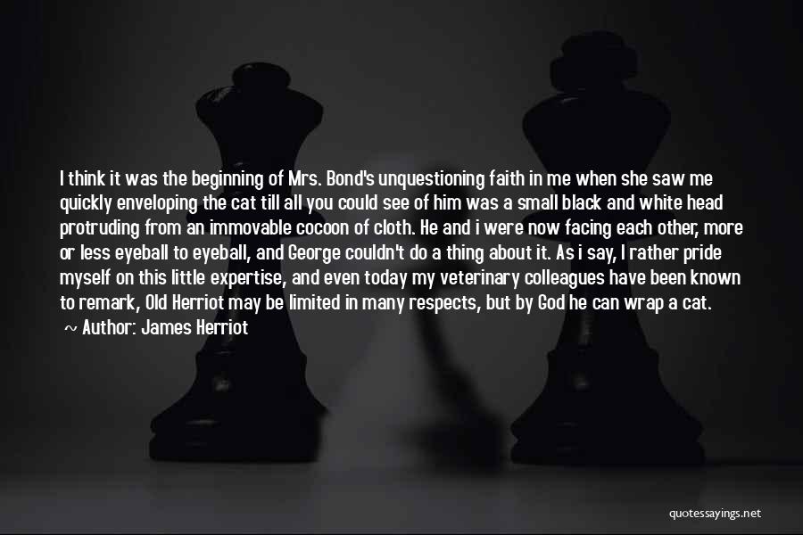 Herriot Quotes By James Herriot