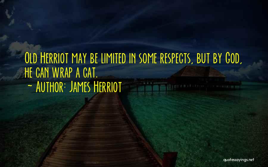 Herriot Quotes By James Herriot