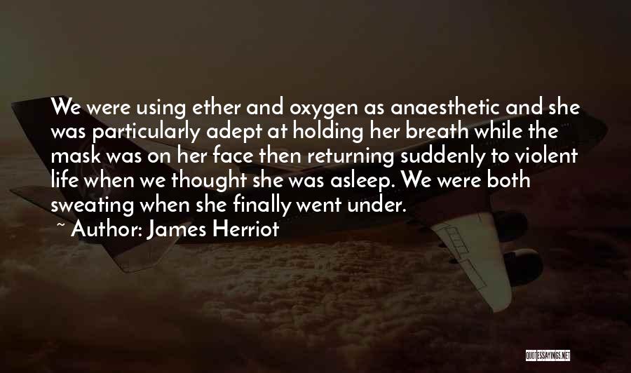 Herriot Quotes By James Herriot