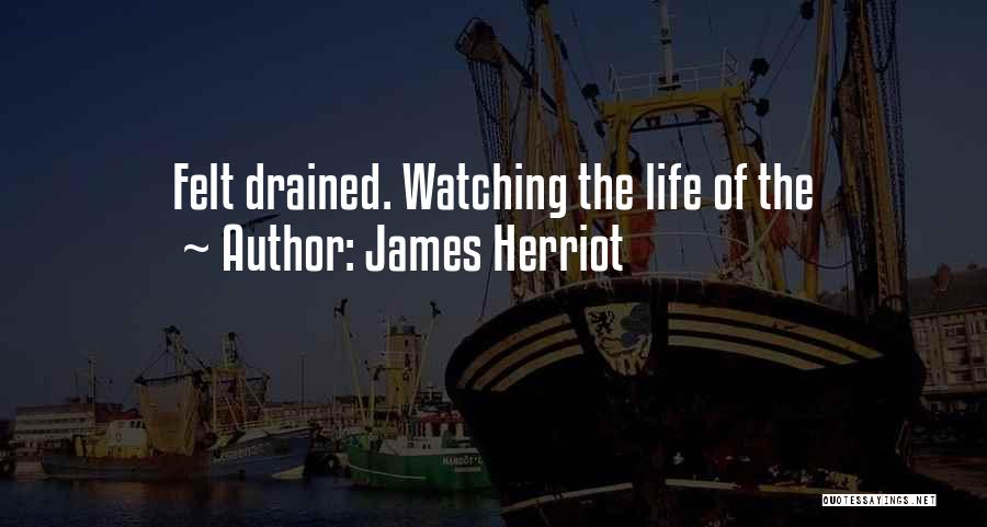 Herriot Quotes By James Herriot